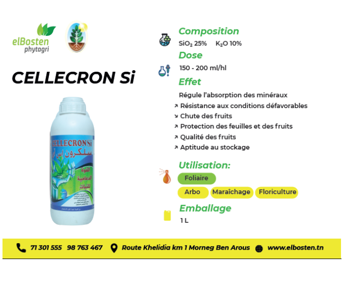 Cellecron Si