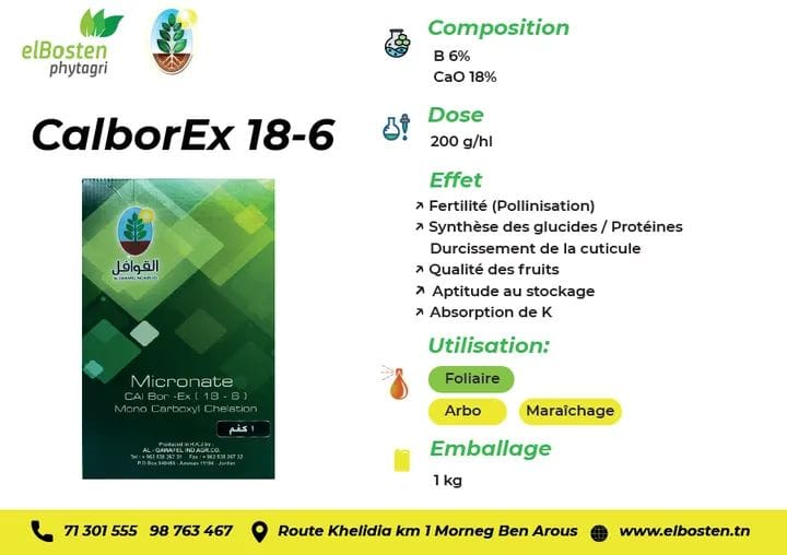 CalborEx 18-6