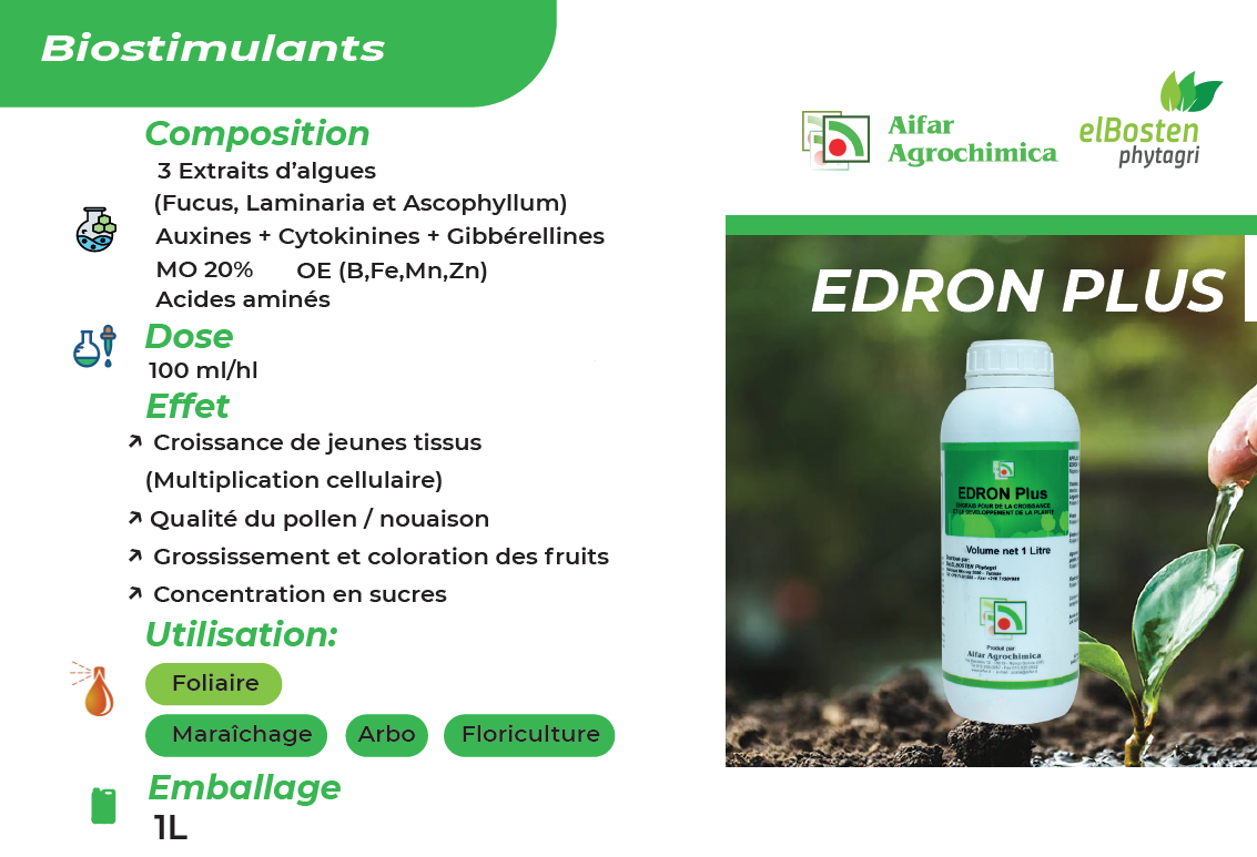 Edron Plus