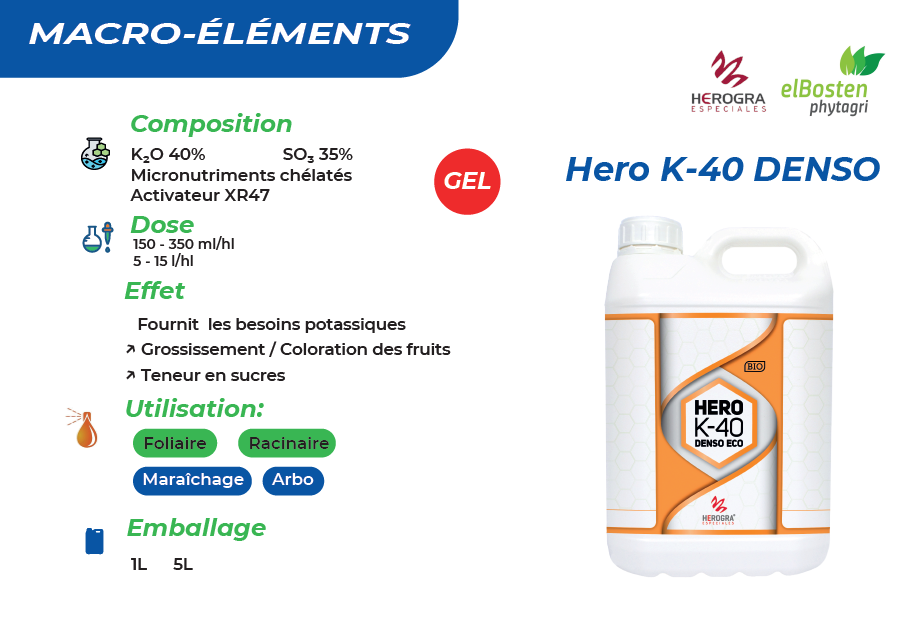 Hero K-40 Denso