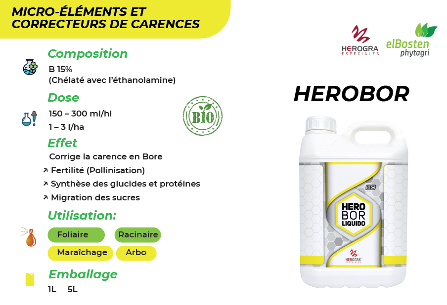 Herobor