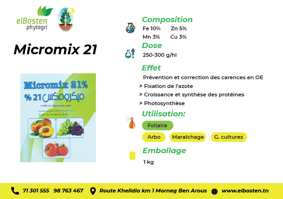 Micromix 21