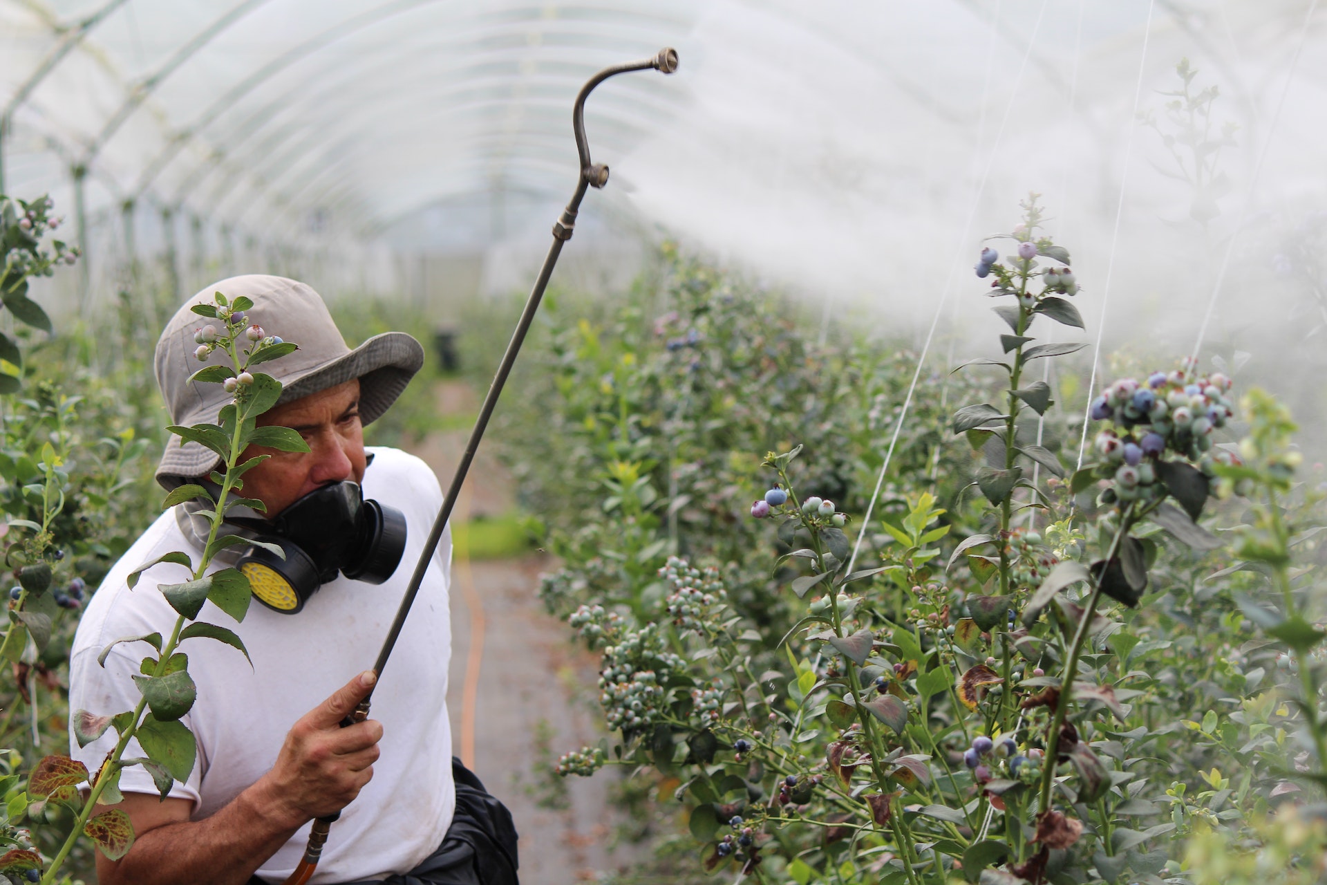 Fertilizers / Pesticides